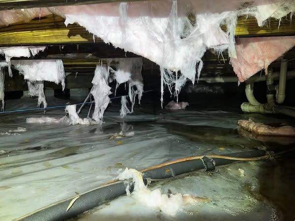 Coastal raw crawl space photo ad