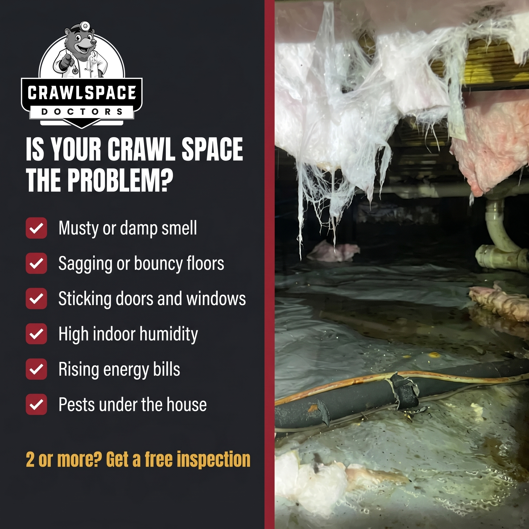 Crawl space symptom checklist ad